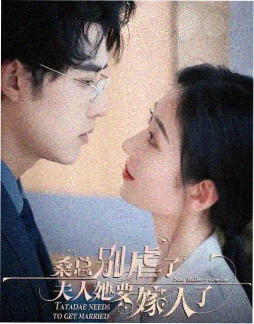 短剧条目复核 配图